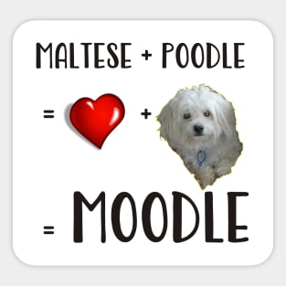 Maltese plus Poodle equals Moodle Sticker